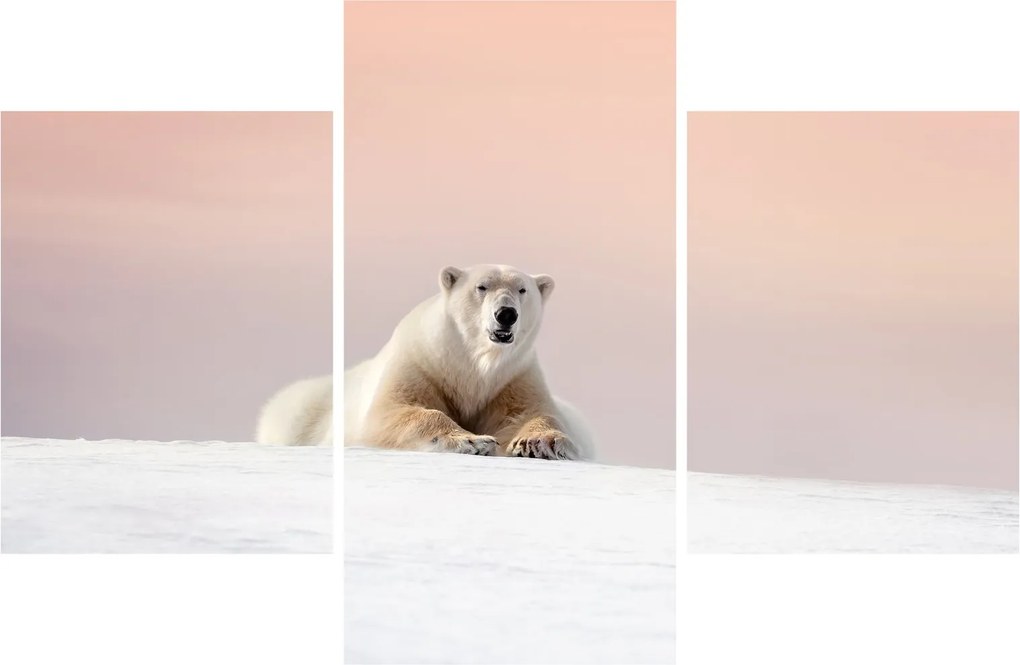Tablou - Urs polar (90x60 cm)