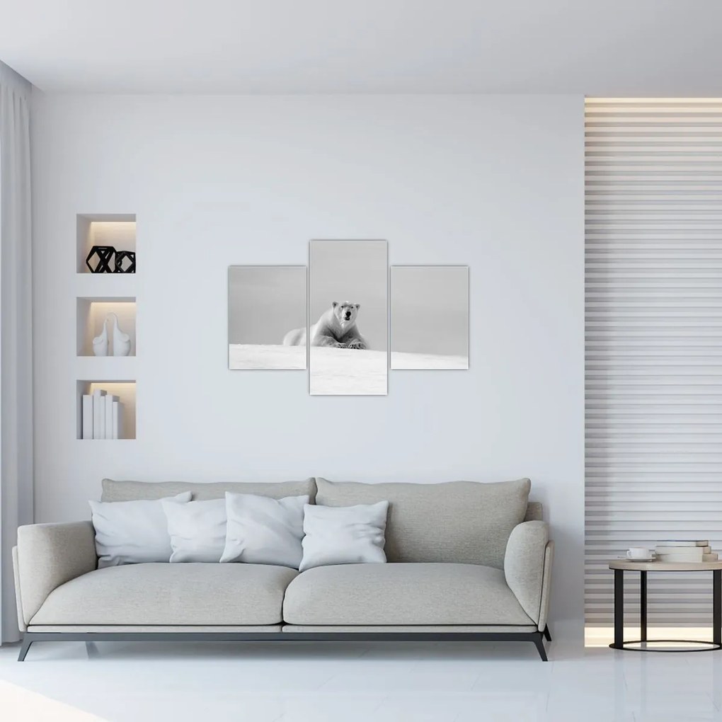 Tablou - Ursul polar (90x60 cm)