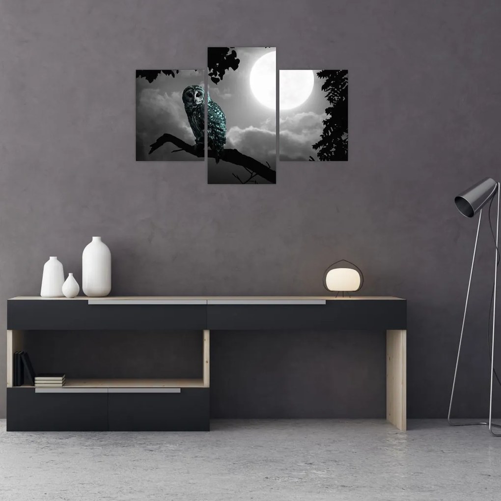Tablou - Bufniță de noapte, albastru (90x60 cm)