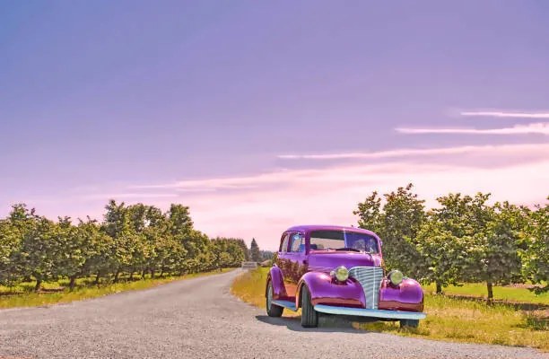 Ilustrație Vintage Car And Orchard, John C Magee