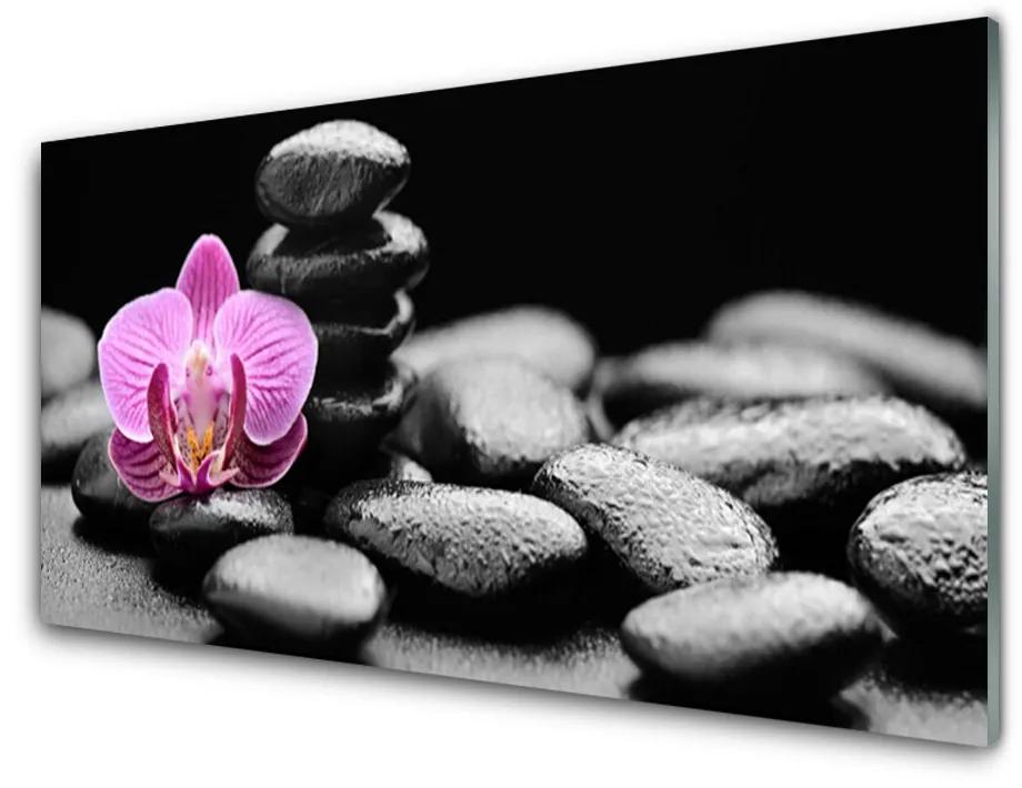 Tablou pe sticla acrilica Pietrele de flori Arta roz negru