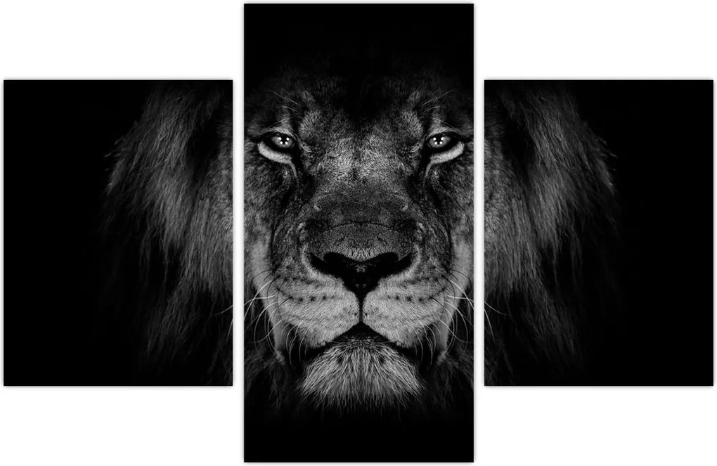 Tablou - Leu majestic (90x60 cm)