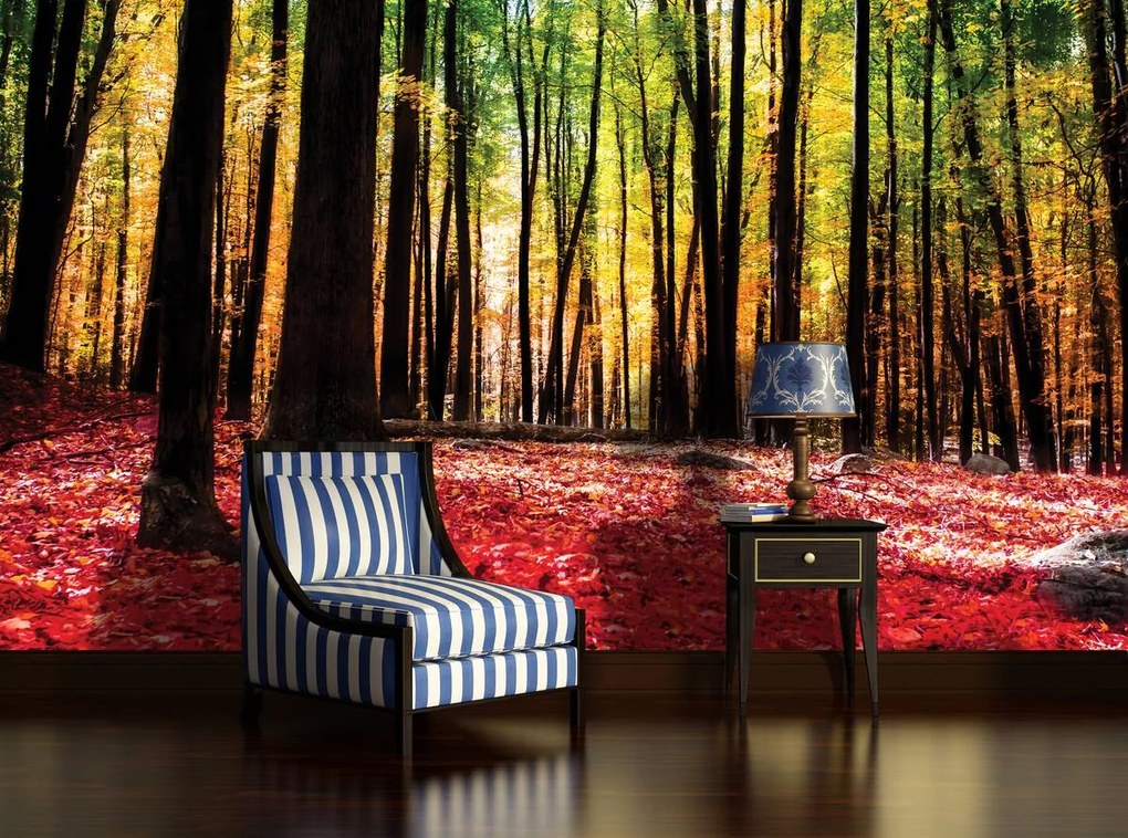 Fototapet - Pădure (254x184 cm)