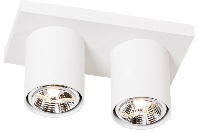 Plafonieră modernă cu spoturi albe cu 2 lumini - Tubo