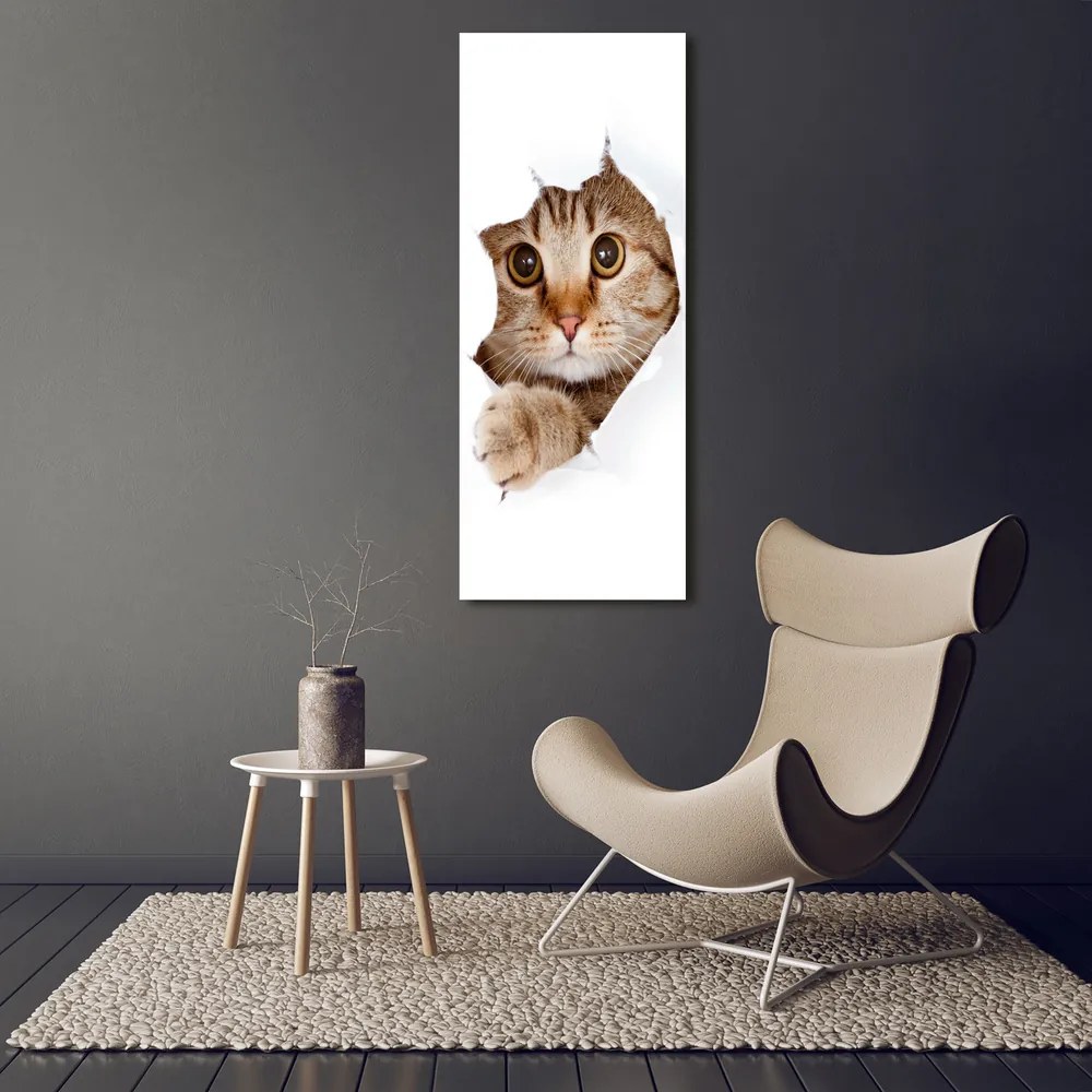 Tablou acrilic Pisică
