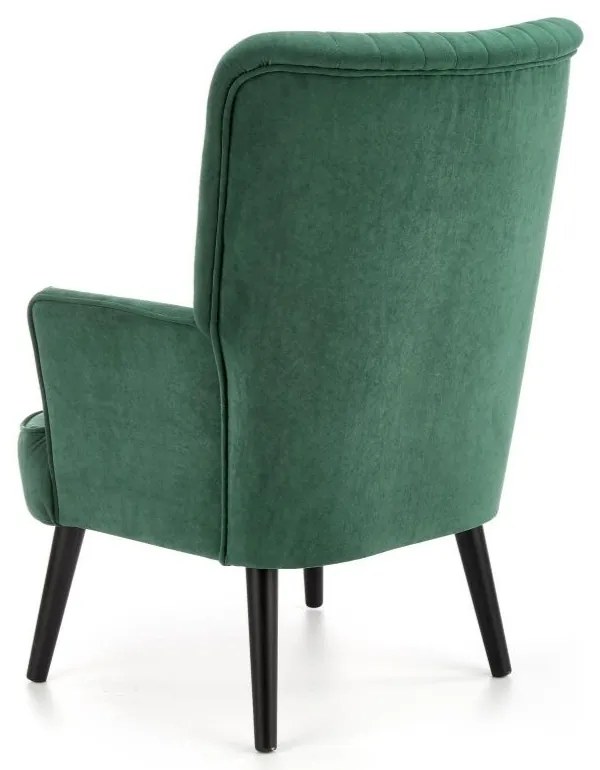 Fotoliu Delgado, verde/negru