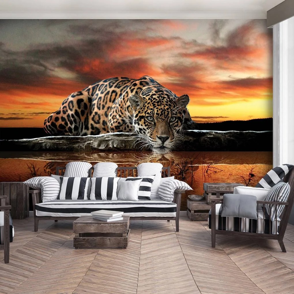 Fototapet - Jaguar (254x184 cm)