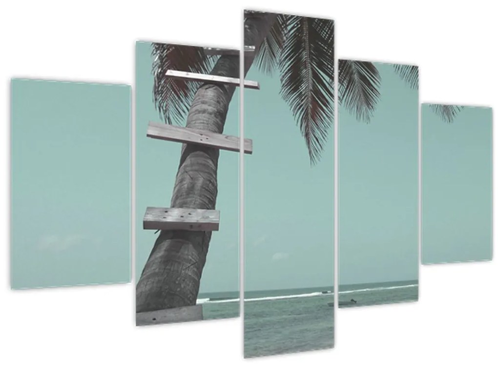 Tablou - Palma în Caraibe (150x105 cm)