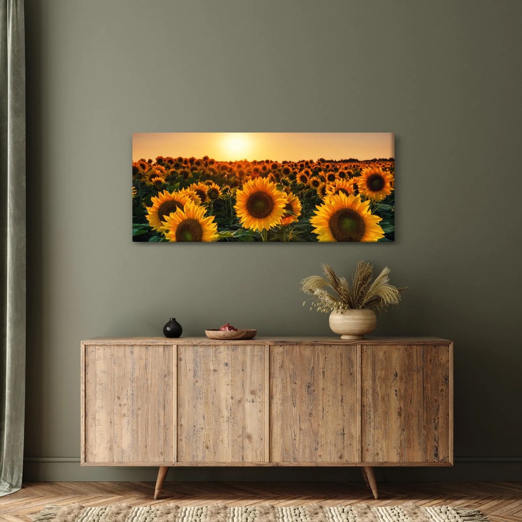 Tablou - Floarea soarelui (120x50 cm)