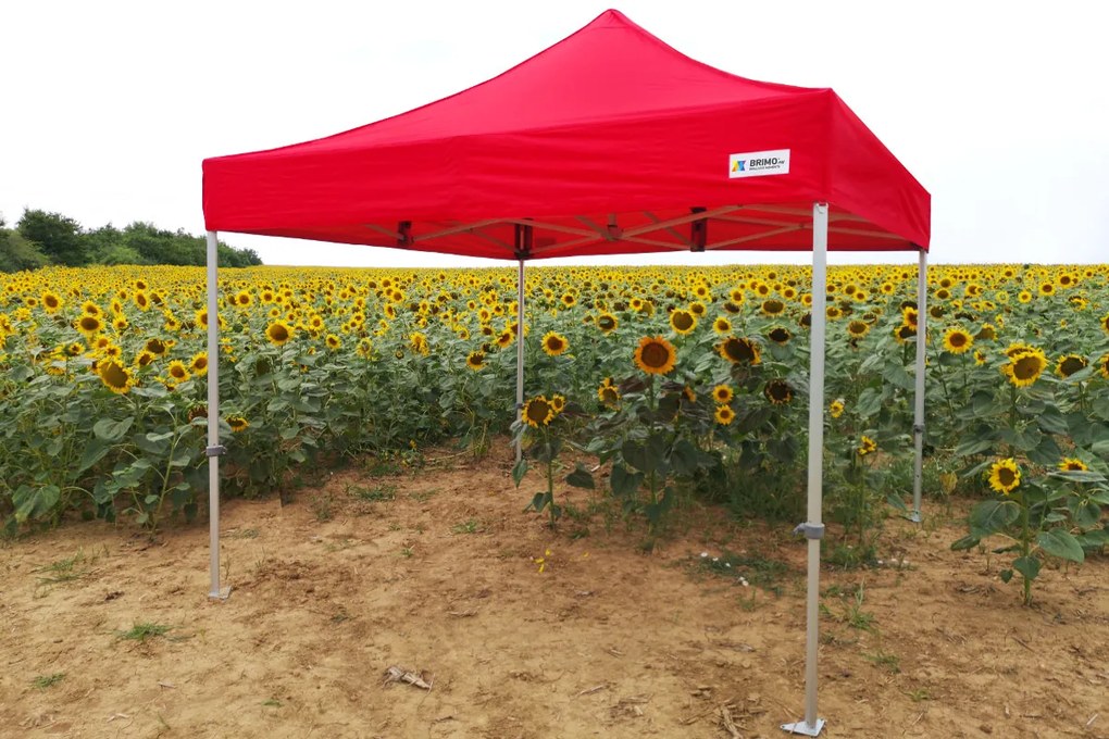 Cort de nuntă 3x6 m din aluminiu – Elegant și de montare rapidă - cu 3 pereți - Albastru