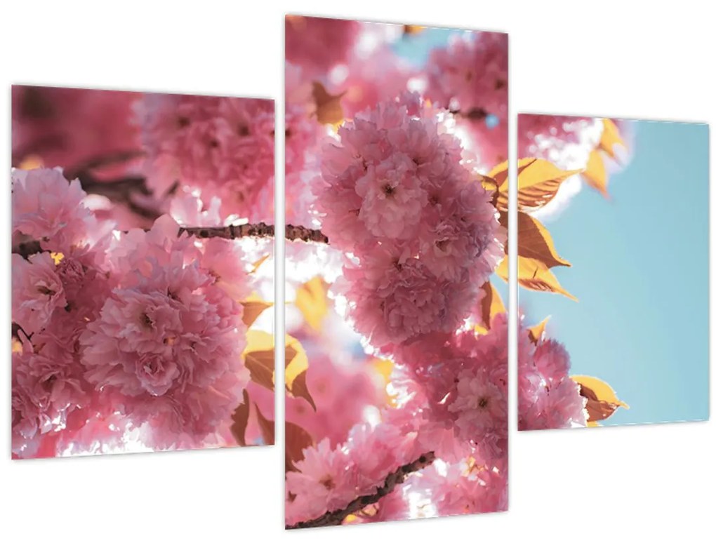 Tablou - Floare de cireș (90x60 cm)