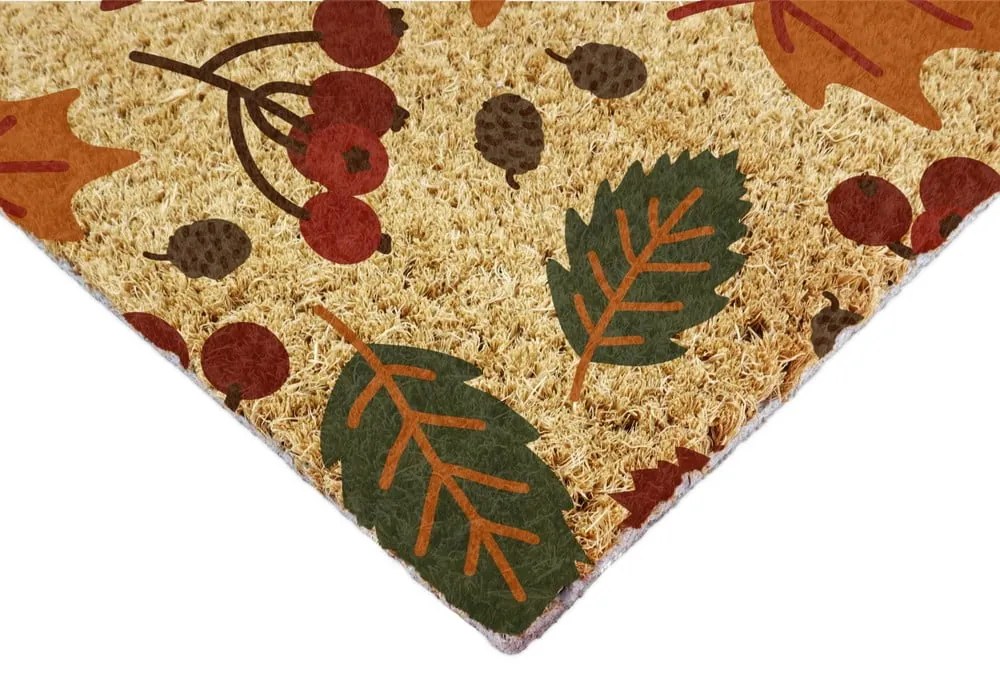 Covoraș de intrare din fibre de nucă de cocos 40x60 cm Autumn Leaves – Artsy Doormats