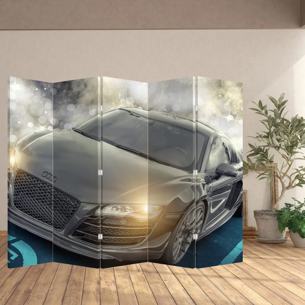 Paravan - Audi - gri (210x170 cm)