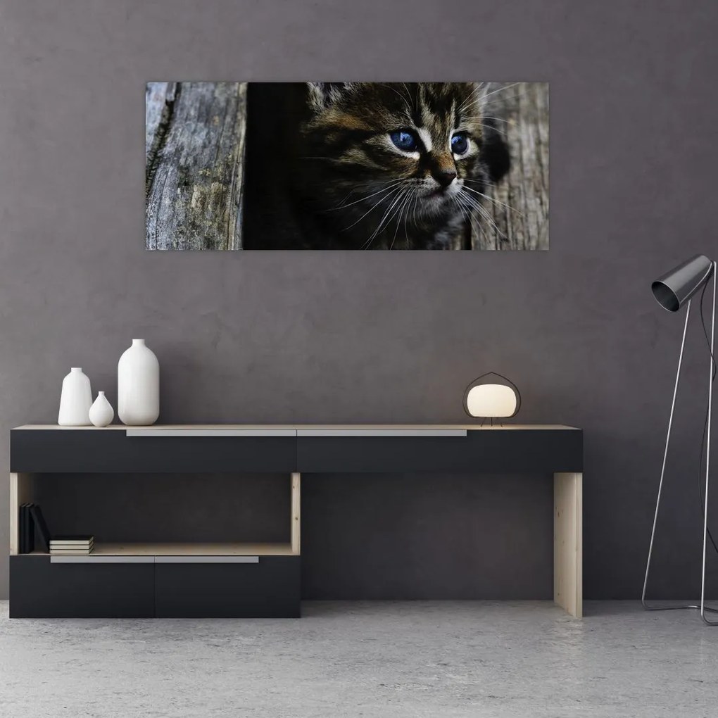 Tablou cu pisicuța (120x50 cm)