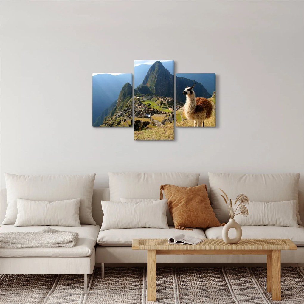 Tablou - Lama și Machu Picchu (90x60 cm)