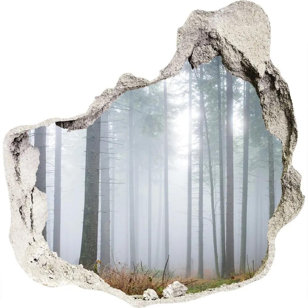Fototapet 3D gaură în perete Ceață în pădure