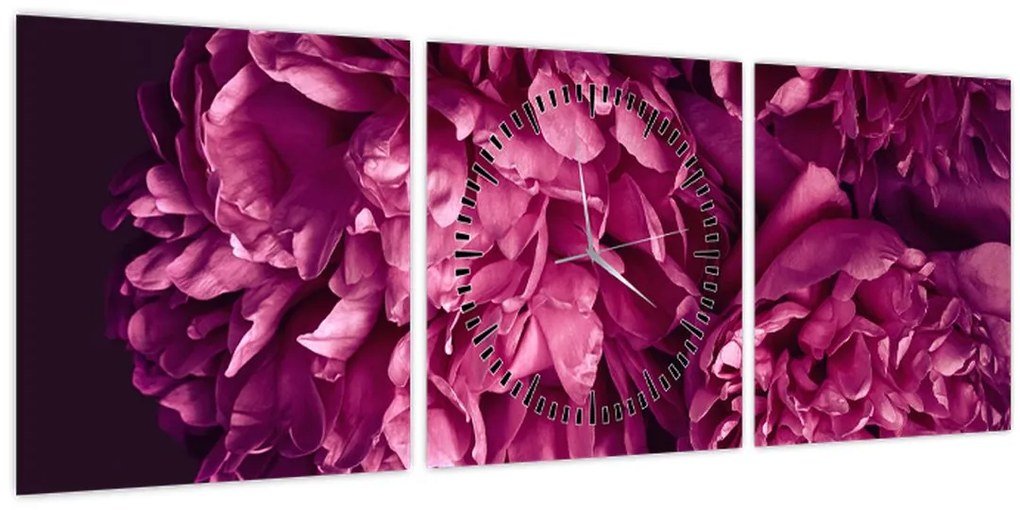 Tablou - Floarea bujorului (cu ceas) (90x30 cm)