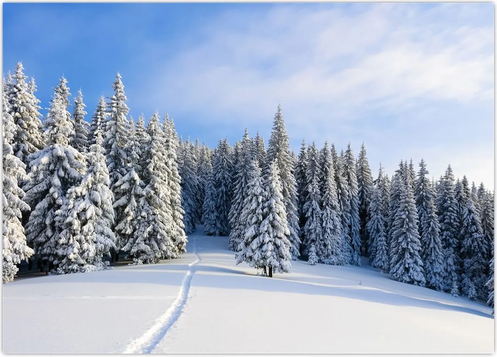 Tablou - Iarna in pădure (70x50 cm)