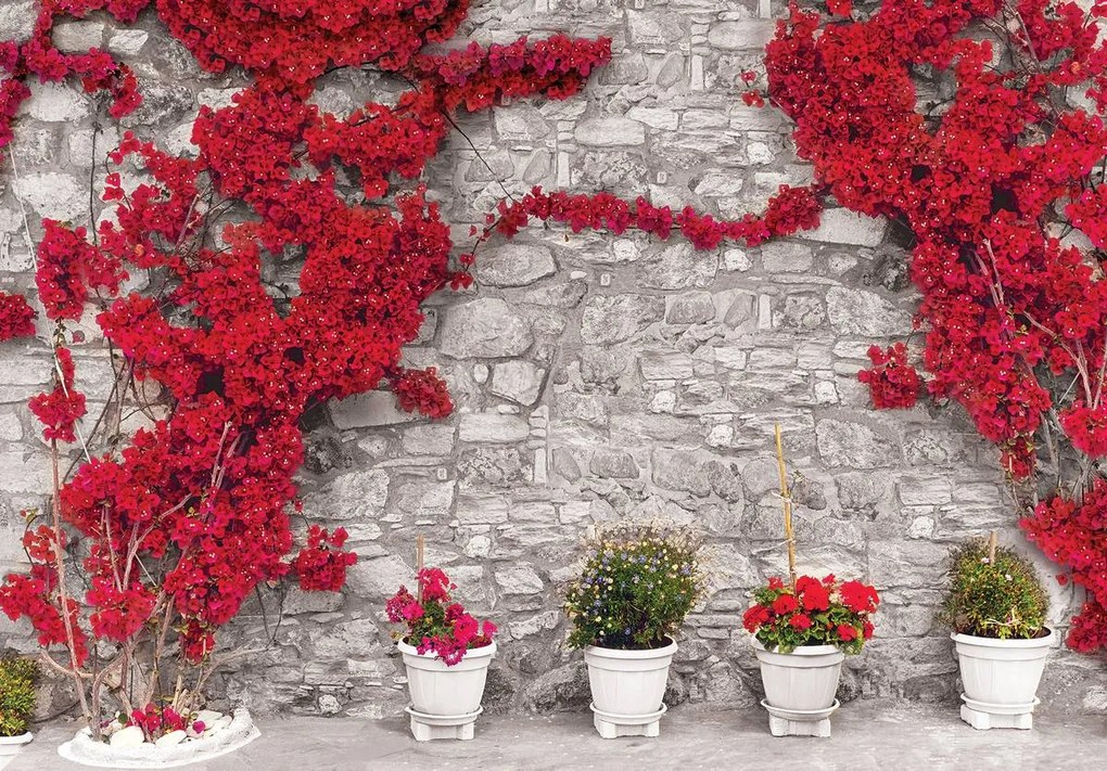 Fototapet - Plante care se întind pe perete din piatră (152,5x104 cm)