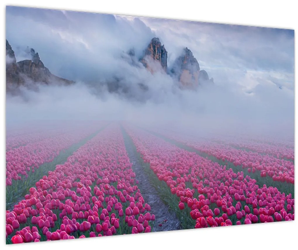 Tablou - Peisaj cu câmpuri de lalele (90x60 cm)