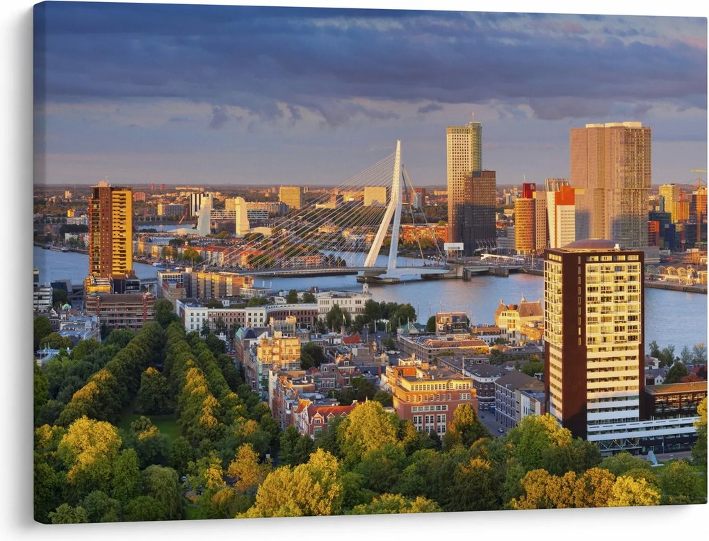 Tablou - Panorama Rotterdamului, Țările de Jos (70x50 cm)
