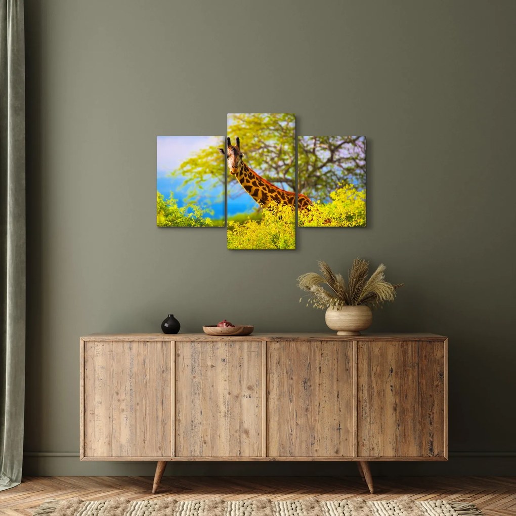 Tablou - Girafa în Africa (90x60 cm)