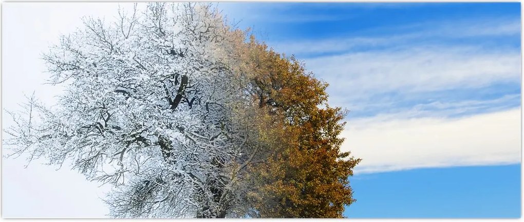 Tablou - Schimbarea anotimpurilor (120x50 cm)