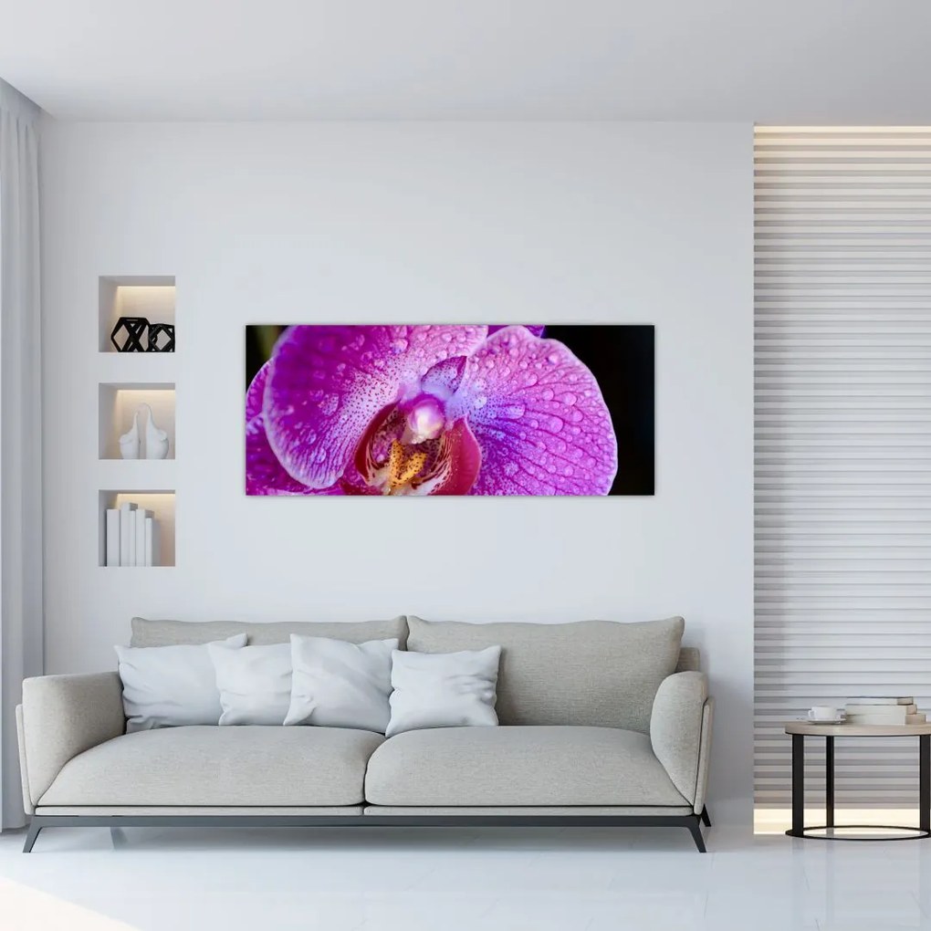 Tablou detailat cu floare de orhidee (120x50 cm)