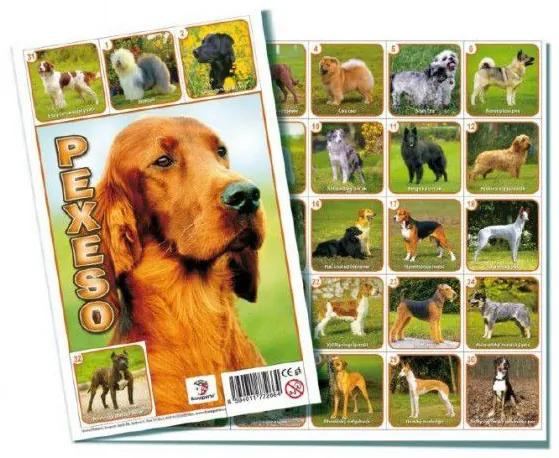 Joc de memorie Câini , joc de masă 32 de perechi de imagini