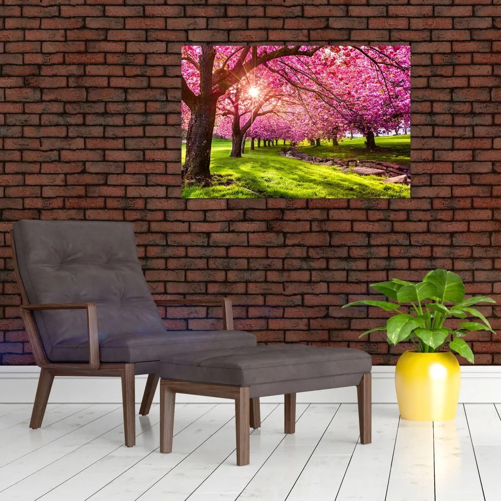 Tablou - Cireși înfloriți, Hurd Park, Dover, New Jersey (90x60 cm)