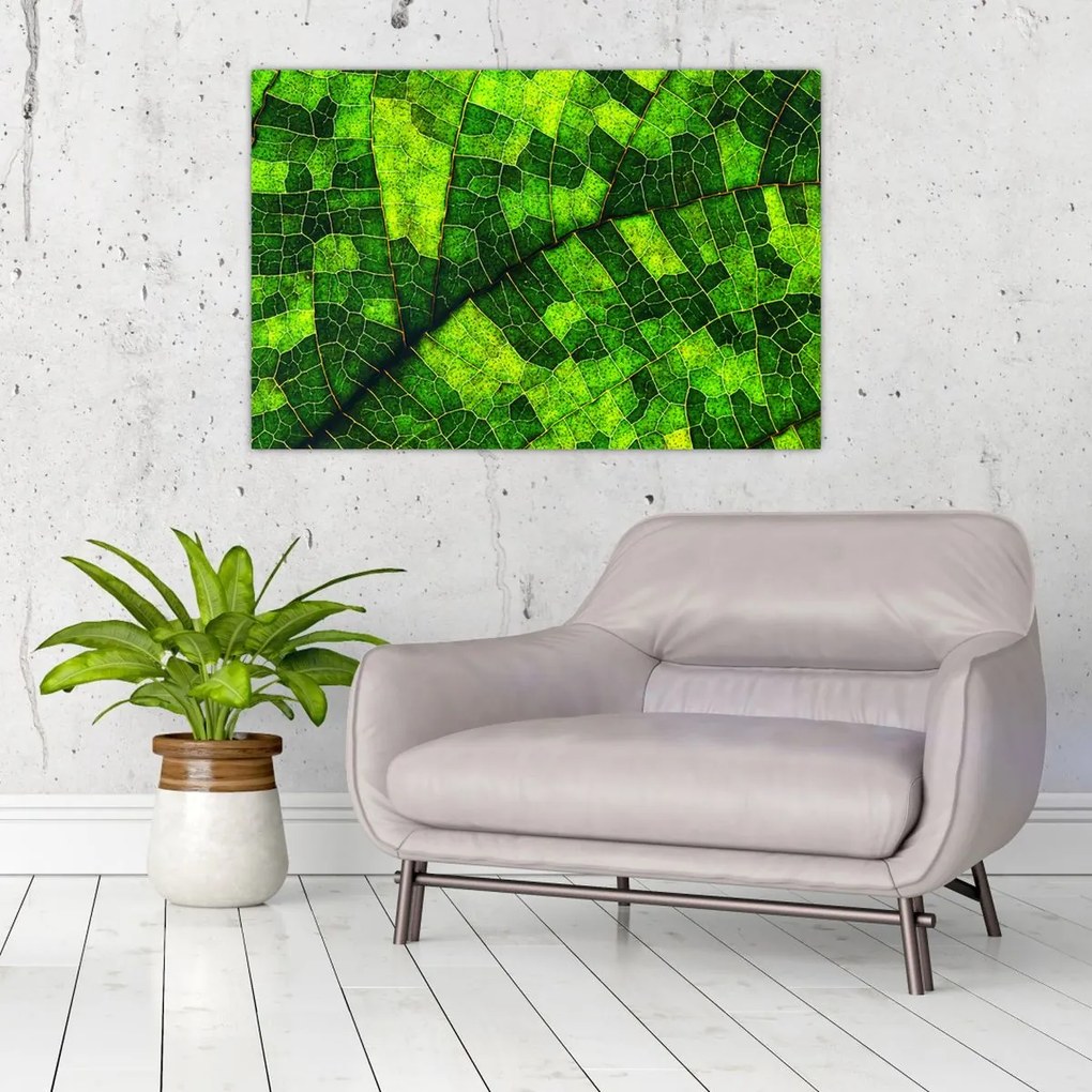 Tablou - Detaliu frunze (90x60 cm)