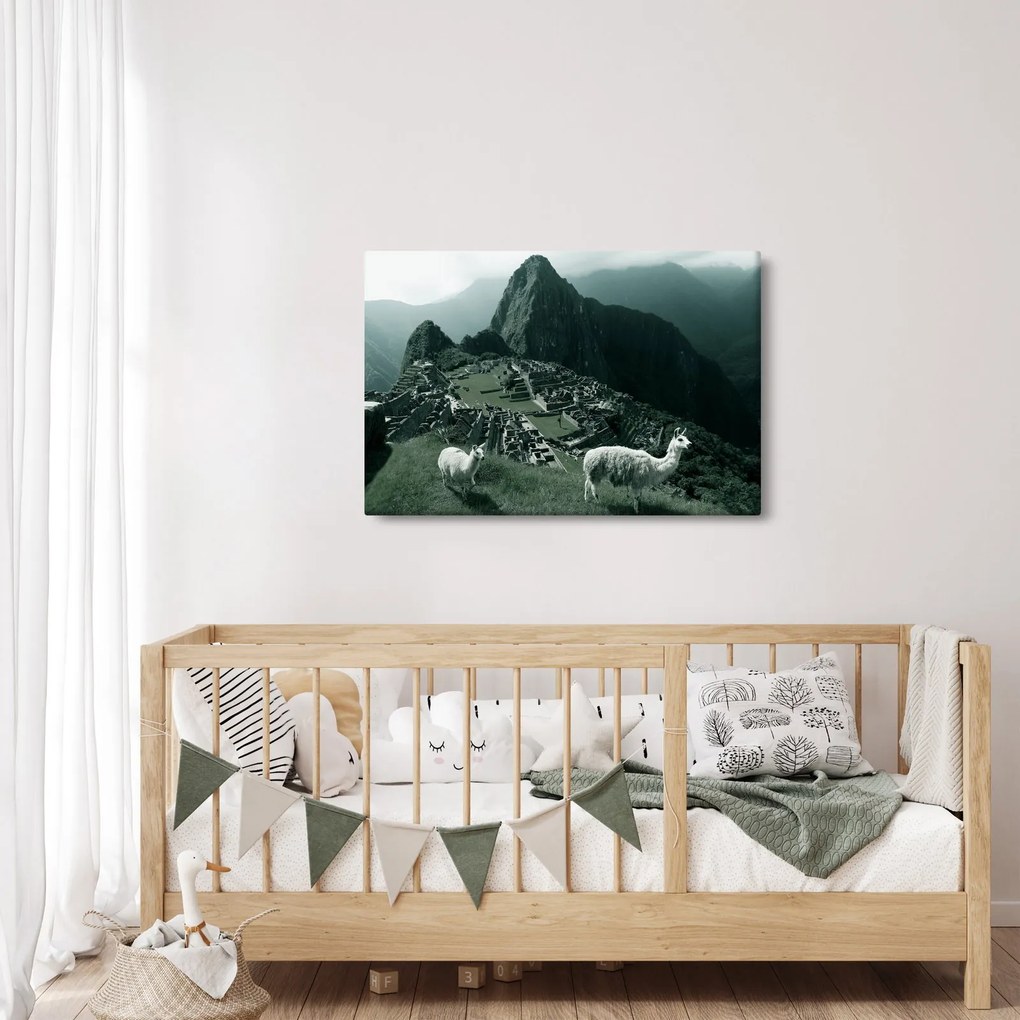 Tablou - Lamas la Machu Picchu în Peru (90x60 cm)