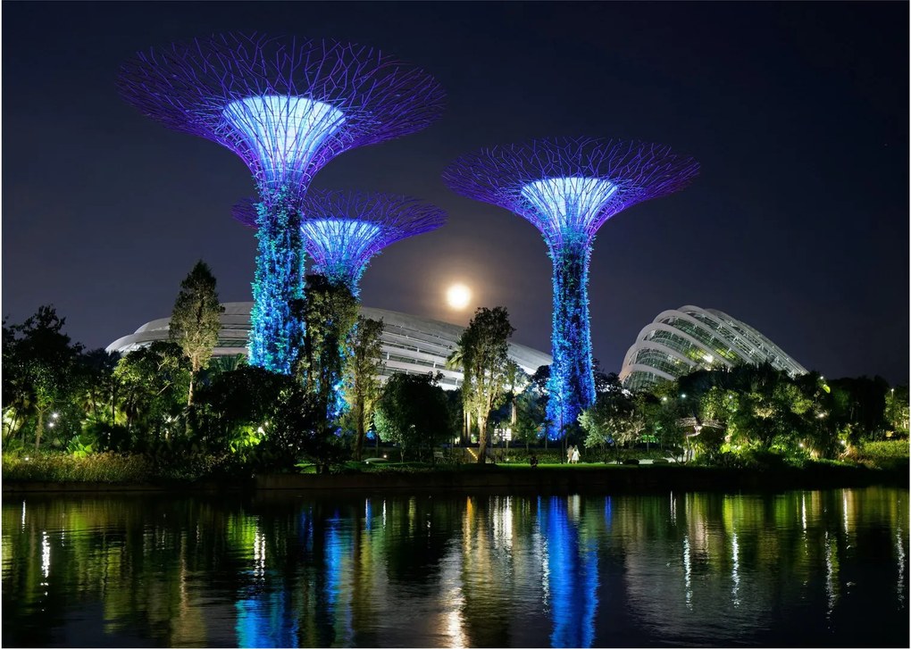 Tablou pe sticlă cu lună plină în grădinile din Singapur (70x50 cm)