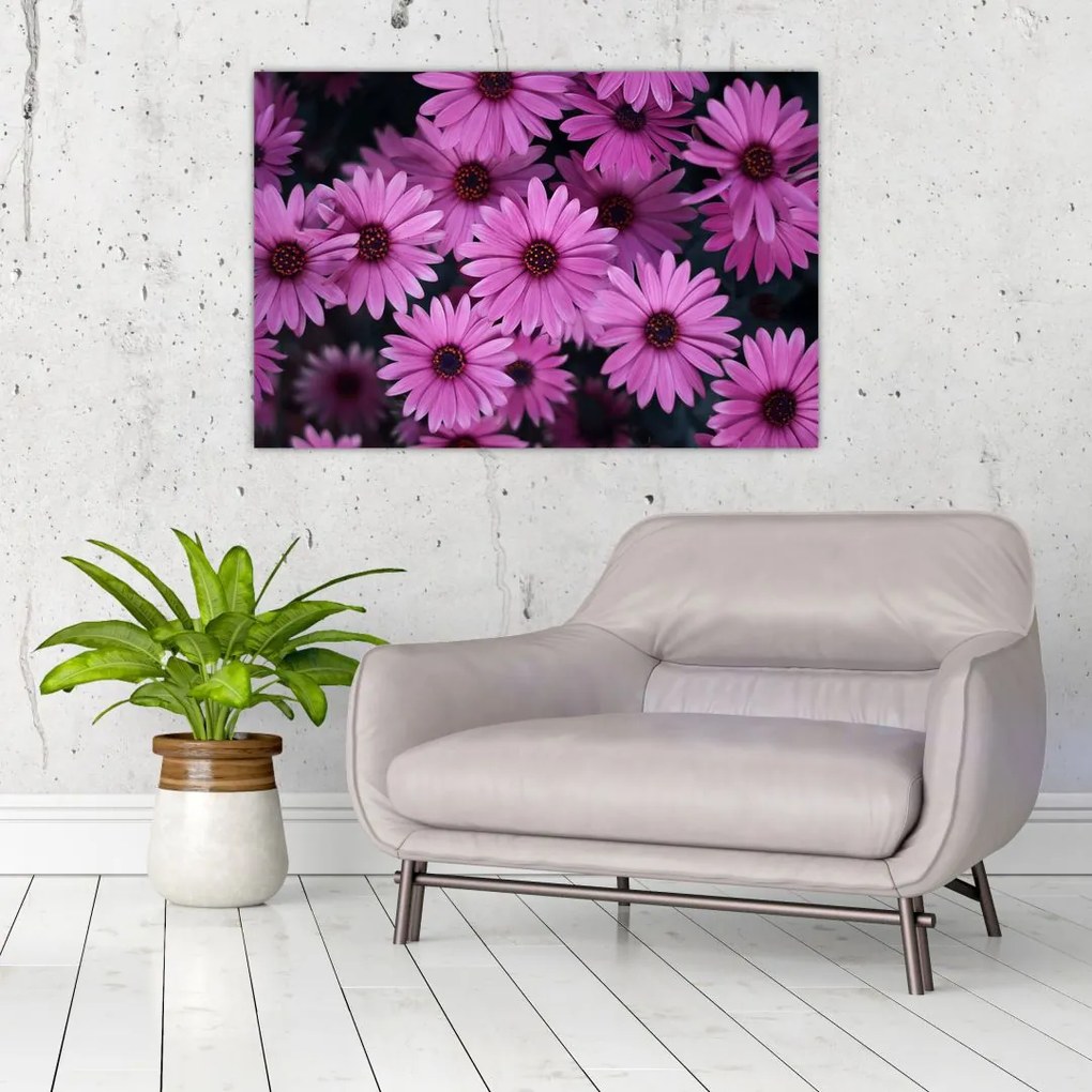 Tablou cu florile roz (90x60 cm)