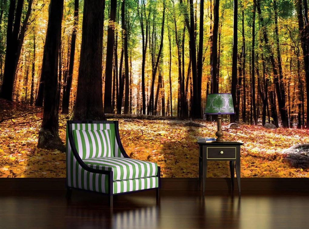 Fototapet - Păduri (152,5x104 cm)