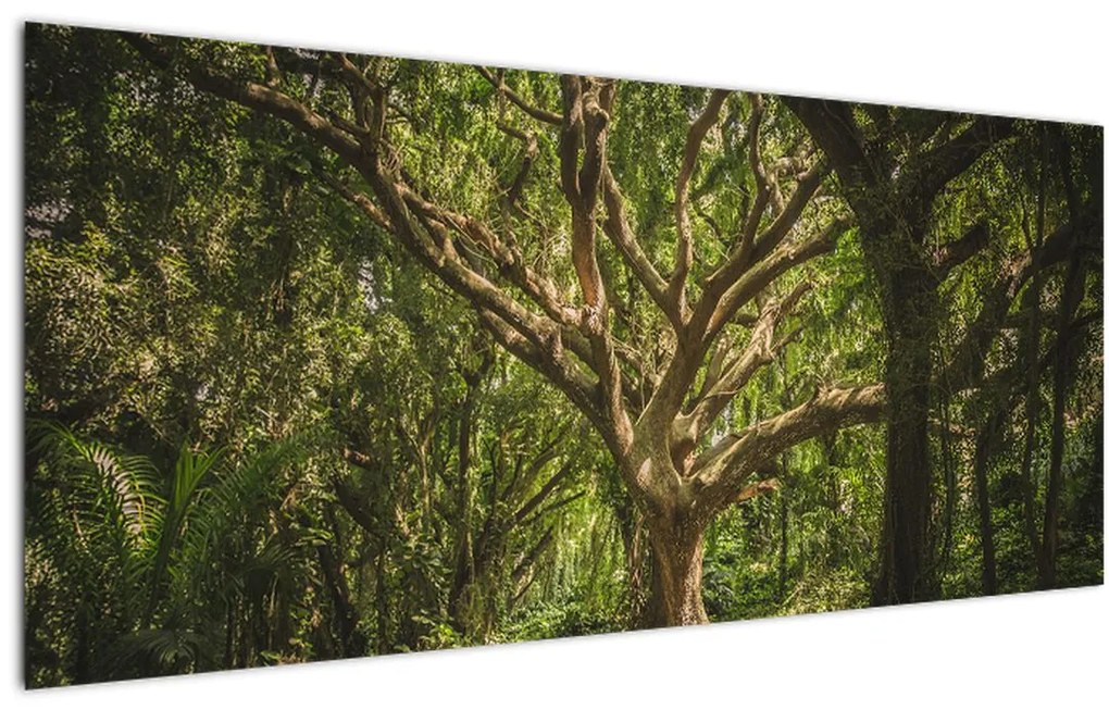 Tablou cu copaci (120x50 cm)