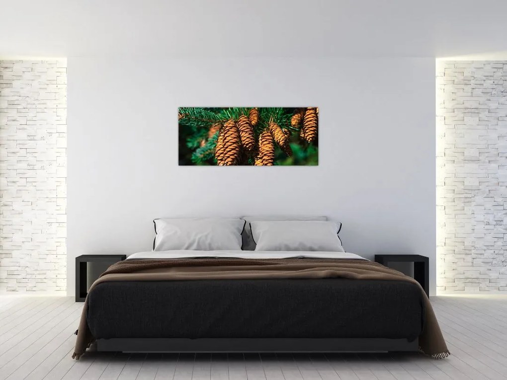 Tablou cu con de brad (120x50 cm)