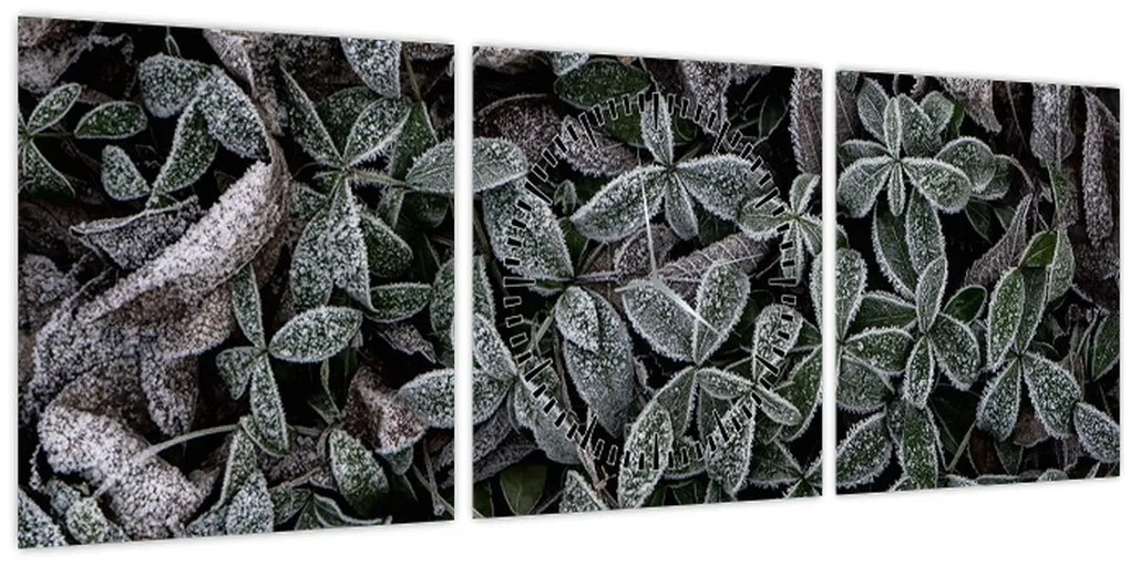Tablou - Plante înghețate (cu ceas) (90x30 cm)
