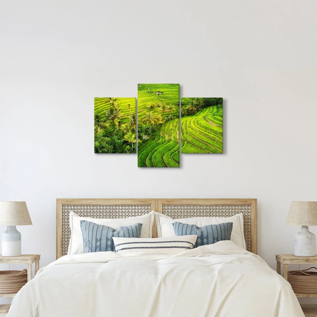 Tablou - Terase de orez (90x60 cm)