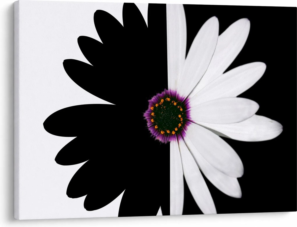Tablou - Floare, alb- negru (70x50 cm)