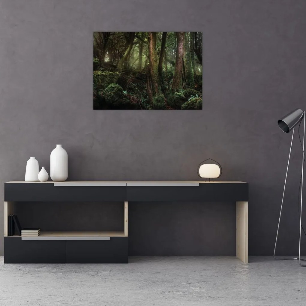 Tablou pe sticlă - Pădurea enigmatică (70x50 cm)