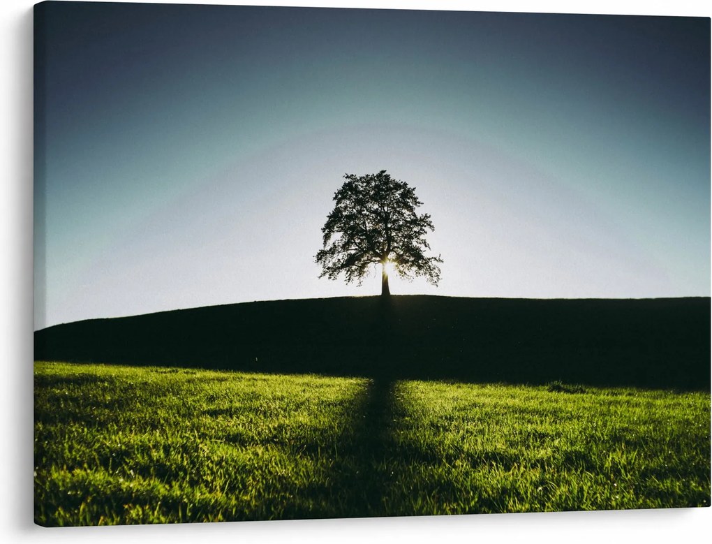 Tablou cu natura - copac (70x50 cm)