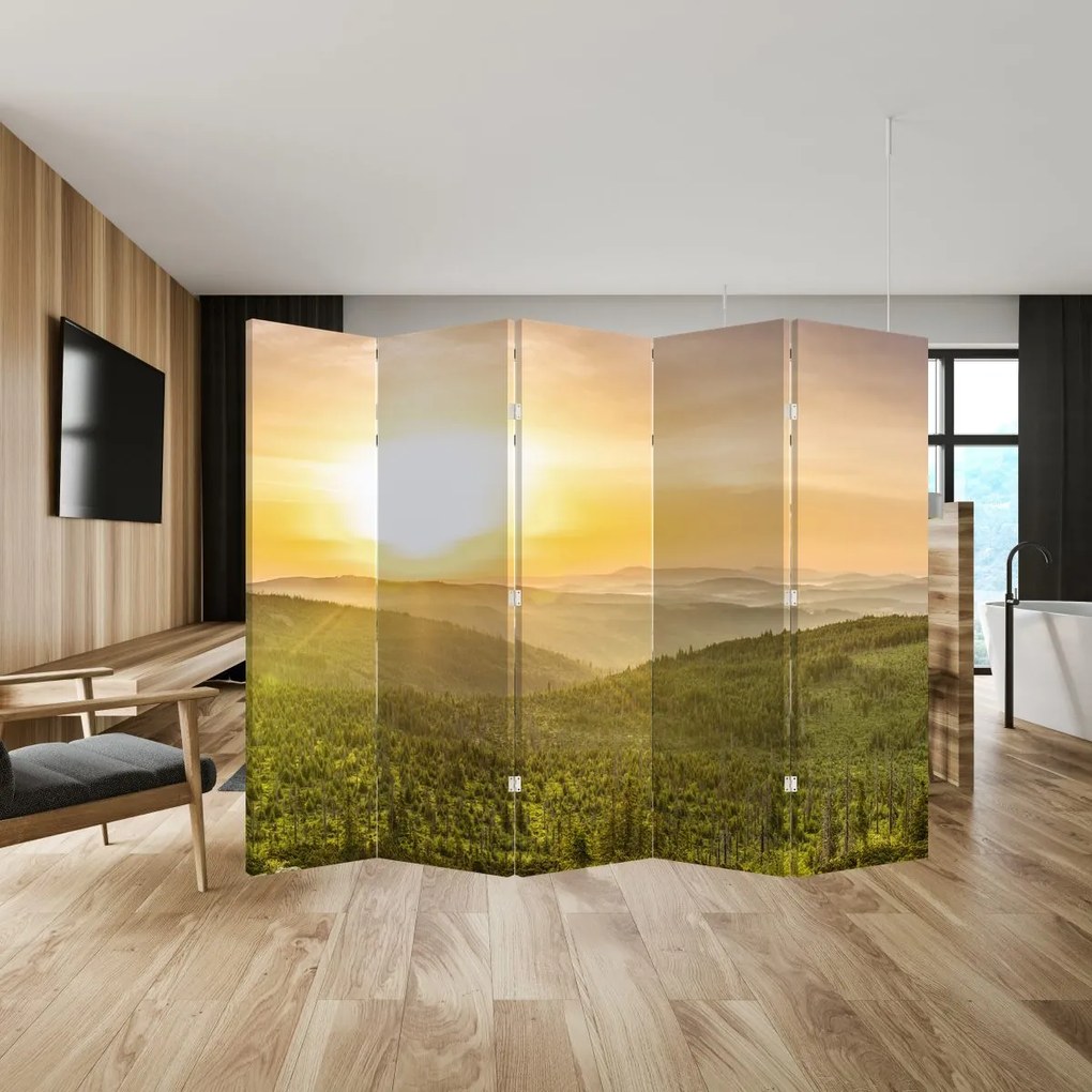 Paravan - Panorama (210x170 cm)