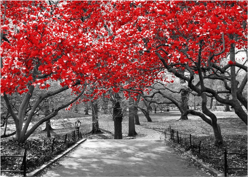 Tablou - Copaci roșii, Central Park, New York (70x50 cm)