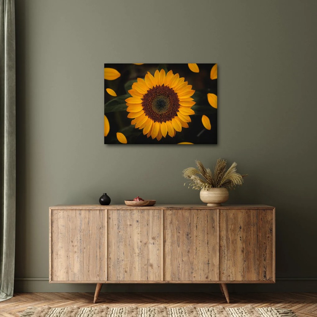 Tablou - Floarea soarelui și petale (70x50 cm)