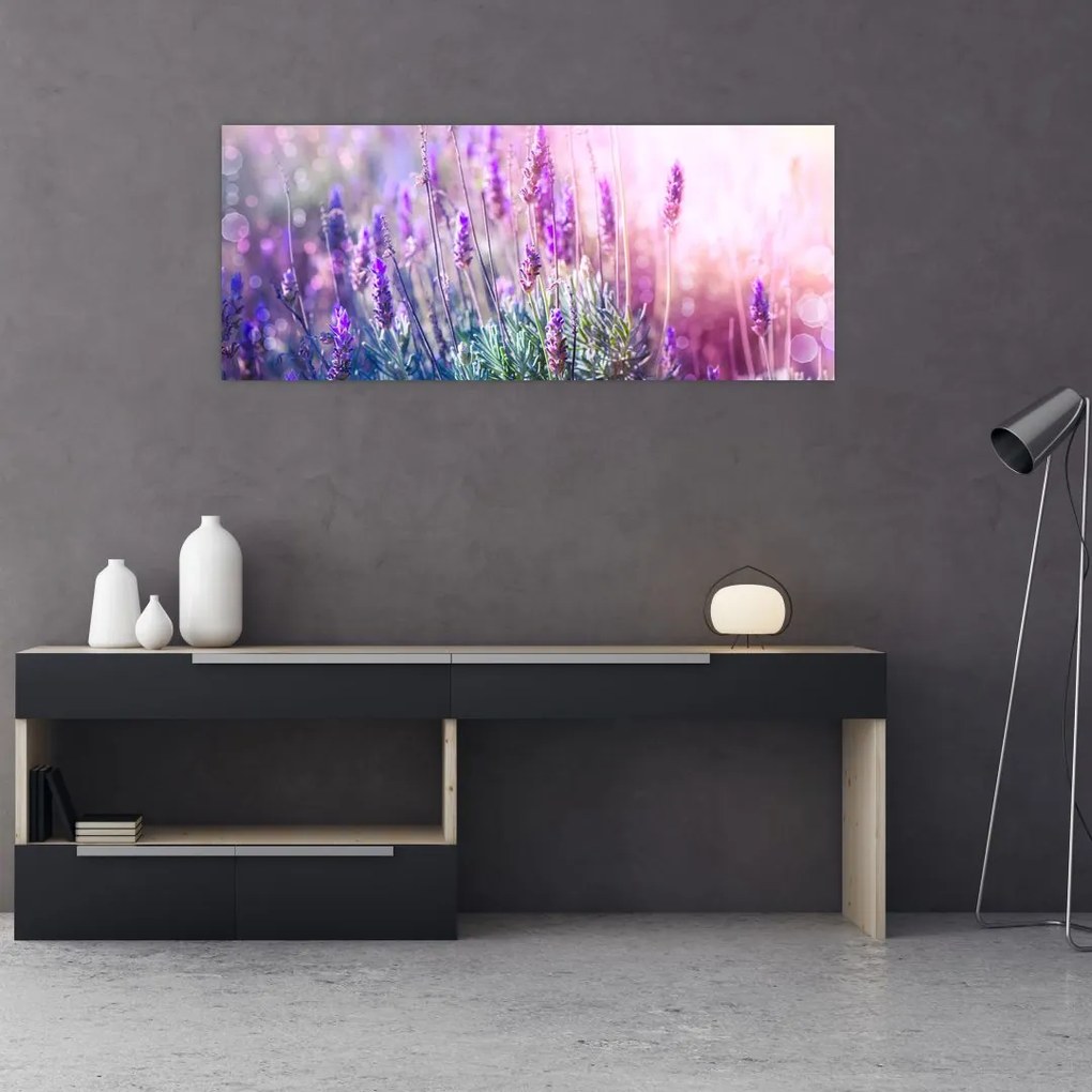 Tablou - Lavandă în strălucirea soarelui (120x50 cm)