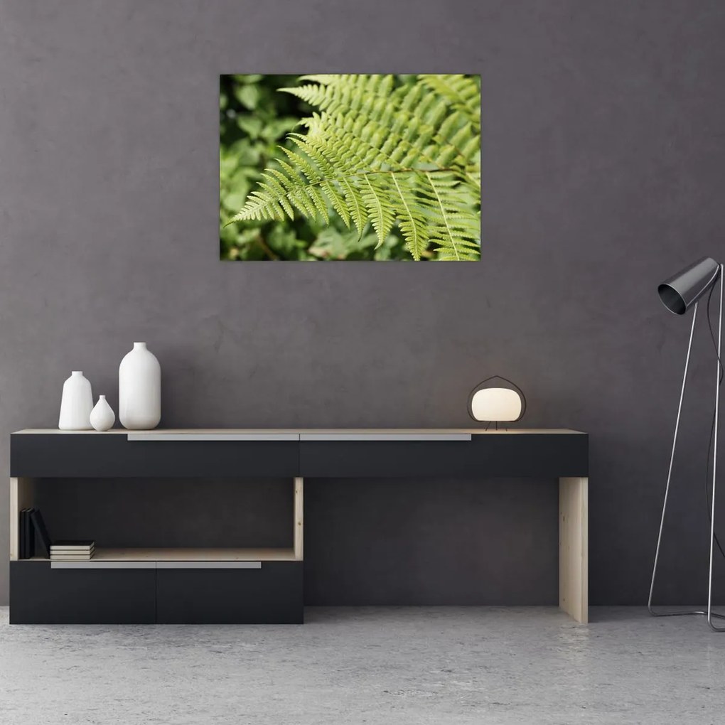 Tablou - Frunză de ferigă (70x50 cm)