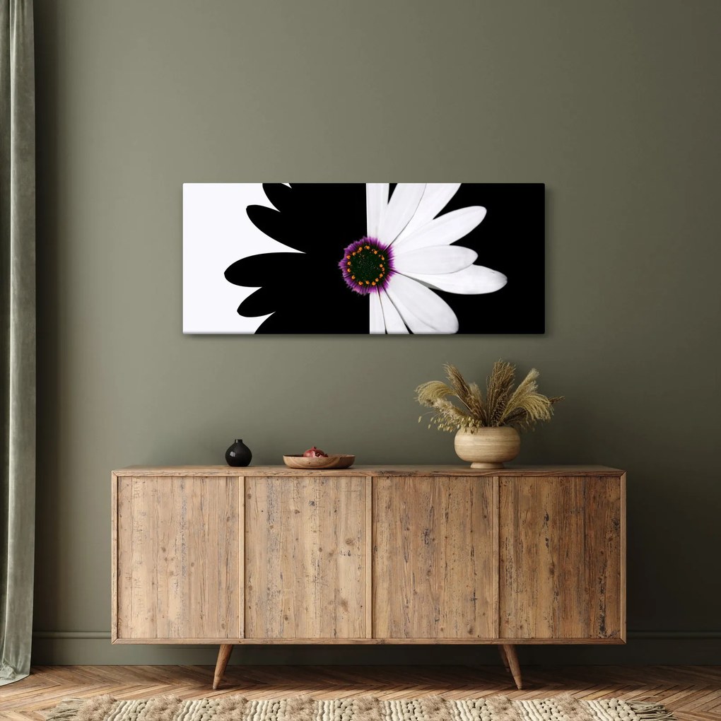 Tablou - Floare, alb- negru (120x50 cm)