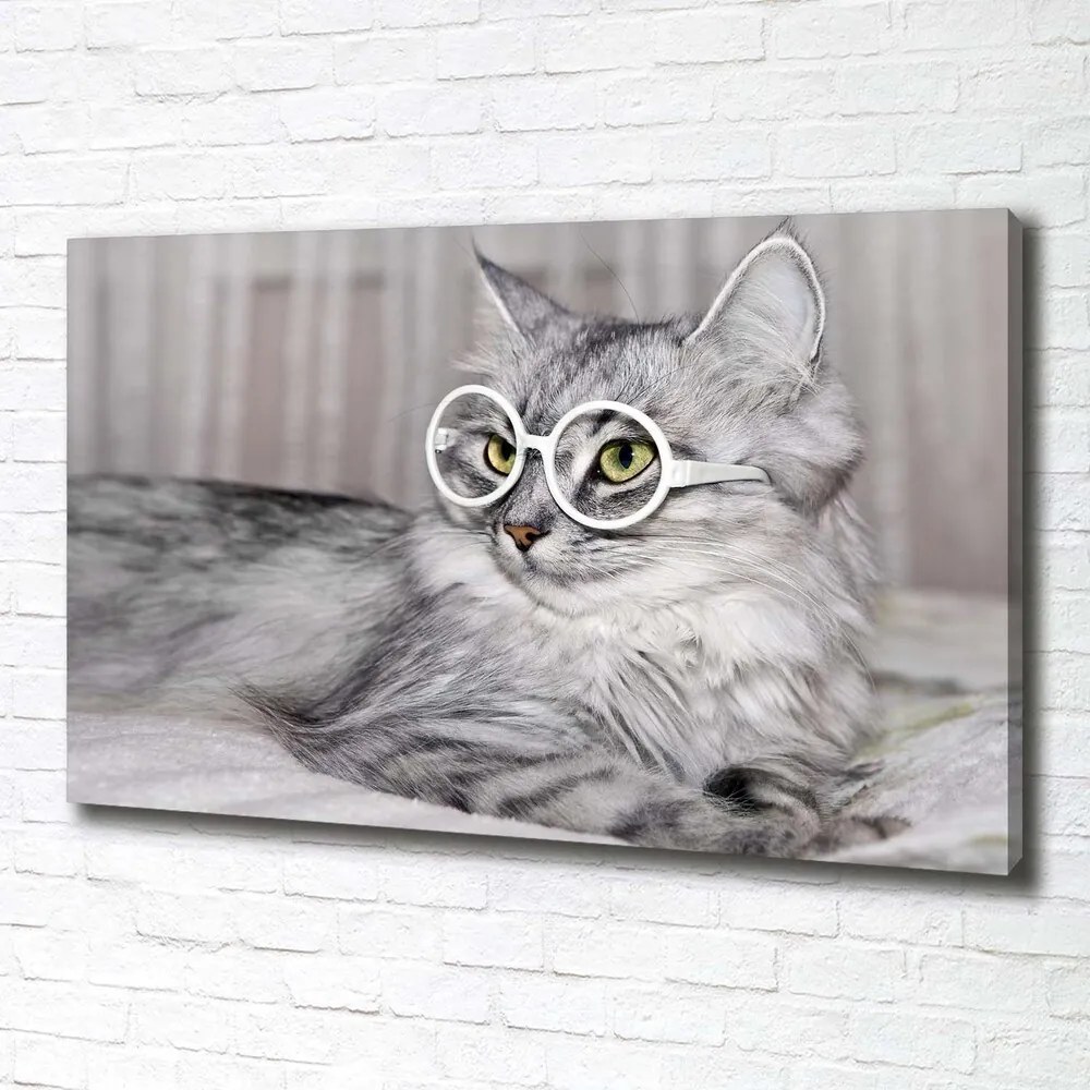 Imprimare tablou canvas Cat cu ochelari