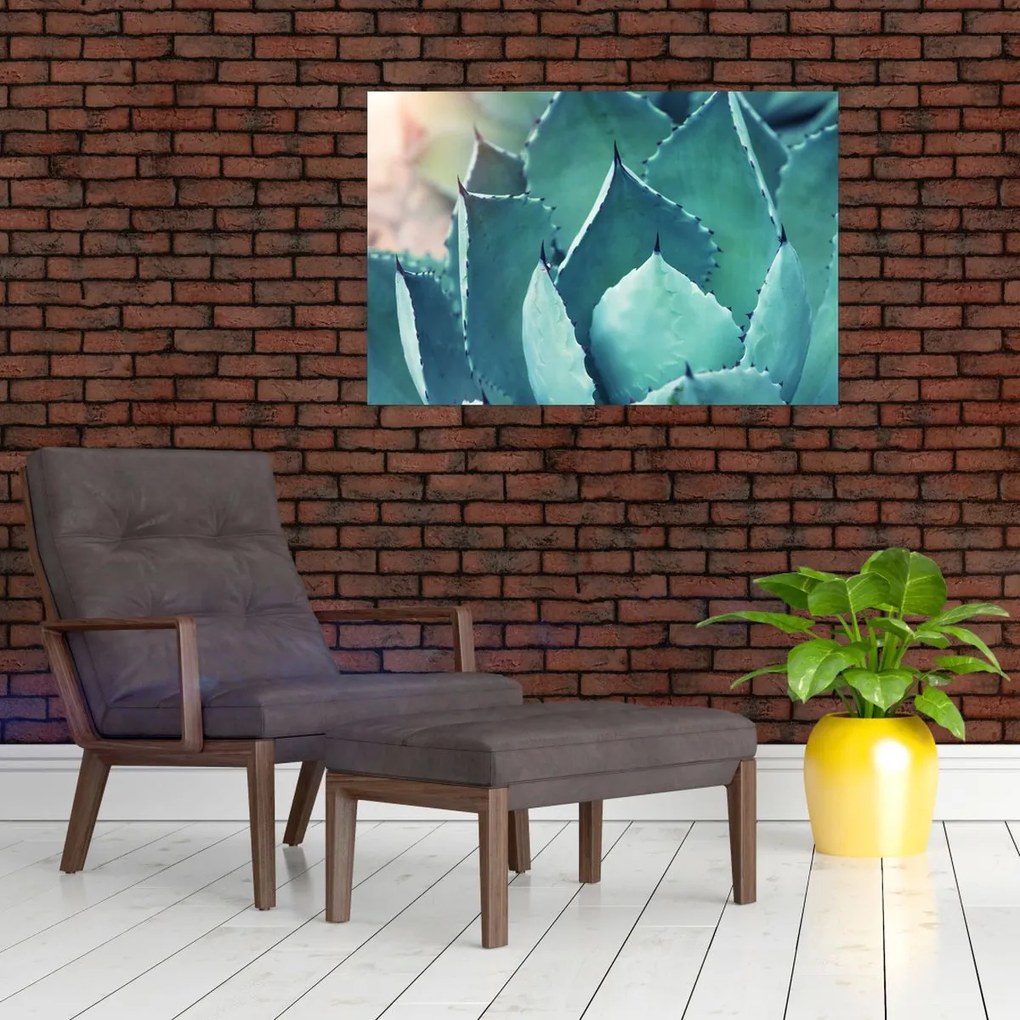 Tablou - Suculent (90x60 cm)